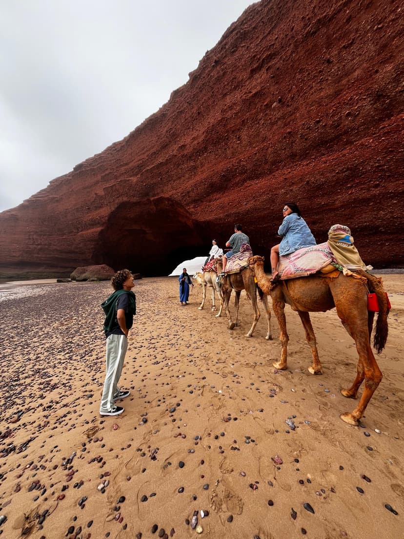 image-0757c6a021b6b3b4d958c1d879201de347749d98-3024x4032-jpg