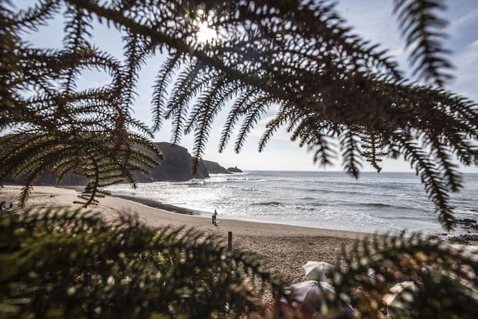 image-814373bd2e0067642d7a72cb8cfa8c58fc1ae150-675x450-jpg