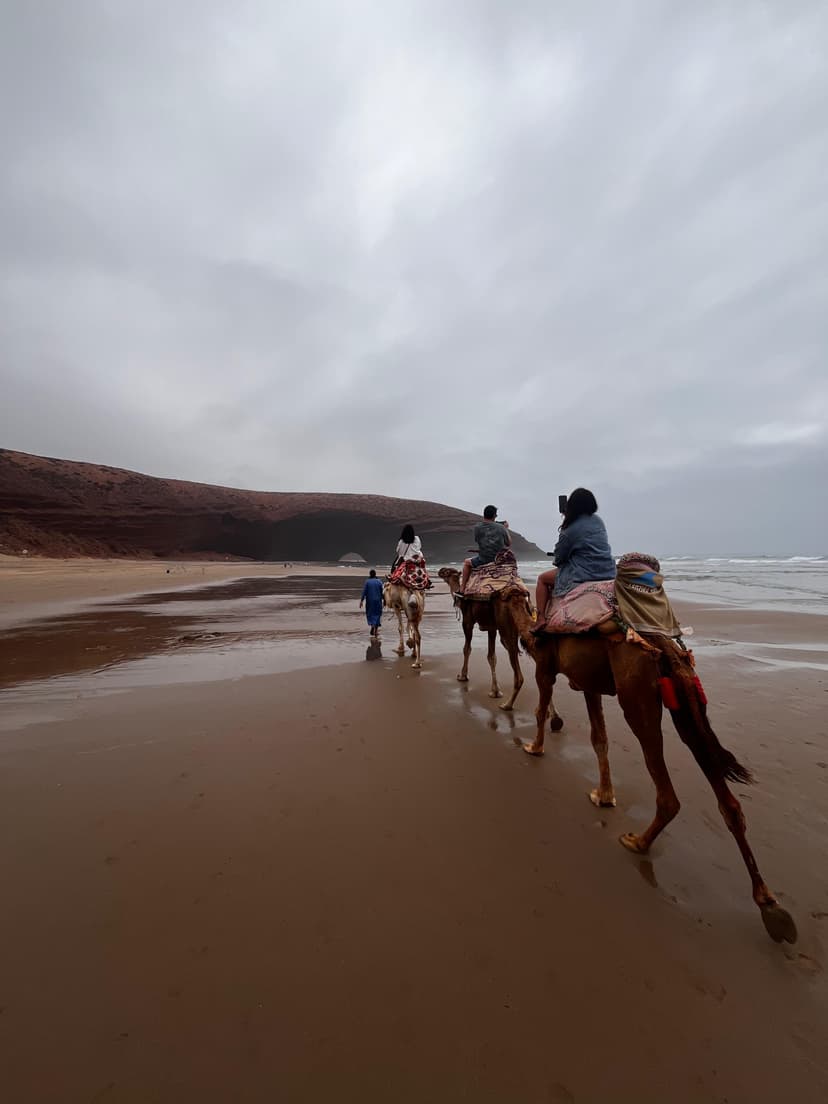 image-d0f2247588f39846412649ac02bbd65dd5f9256e-3024x4032-jpg